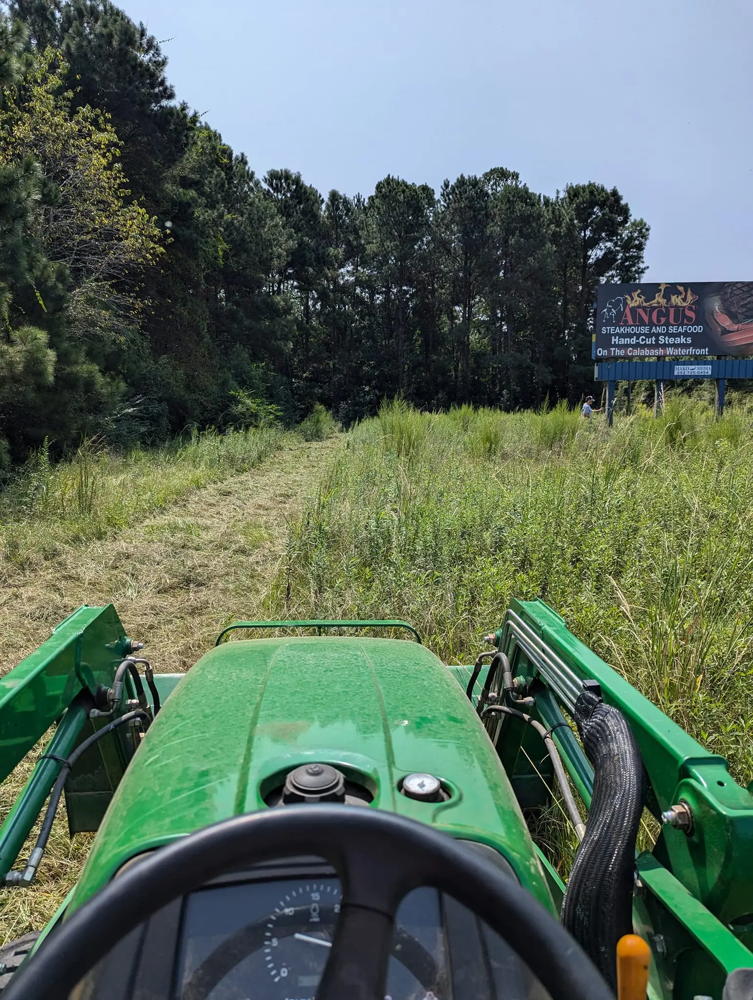 View from Mako's tractor while cutting tall overgrowth